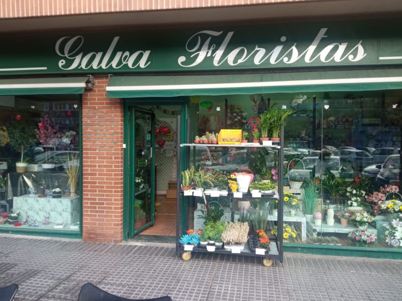 Galva Floristas
