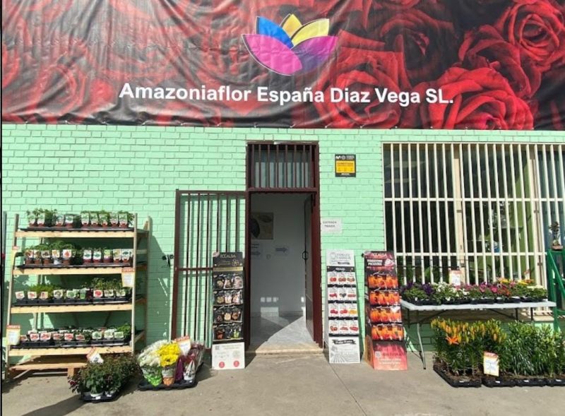 Amazonia Flor
